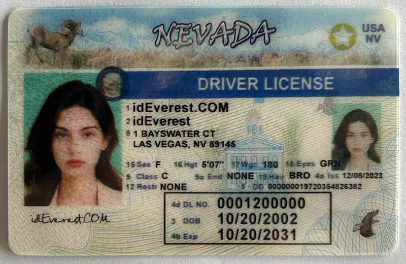 Nevada Fake ID  - Fake ID Online