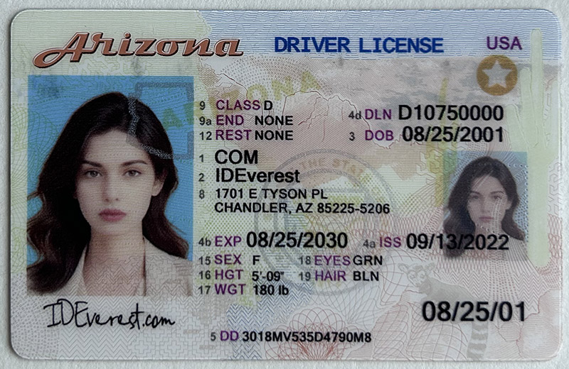 How to Check Arizona ID and Driver Licen